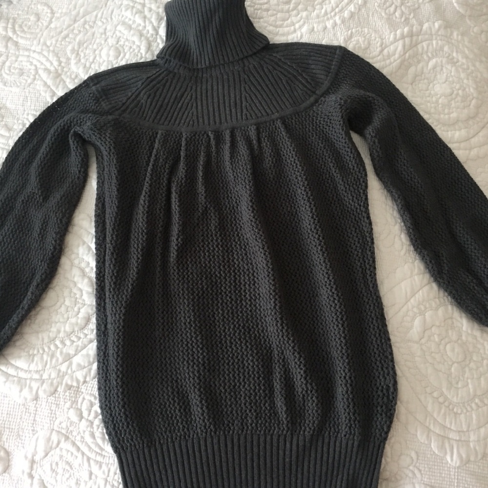 Club Monaco Merino Wool Turtleneck